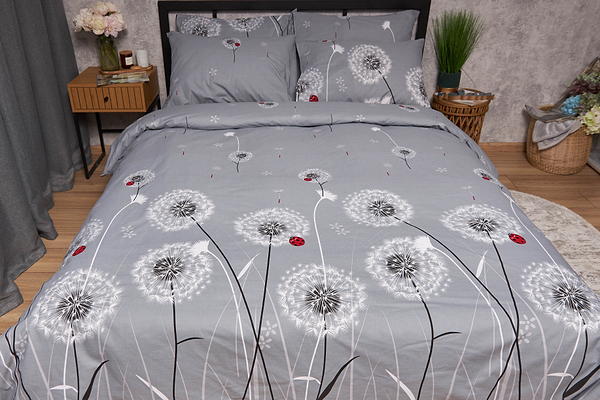 Фото - Комплект постельного белья Moon&Star Бязь Gold Люкс Ladybug 160х220 нав. 2х40х60 (MS-820005445)