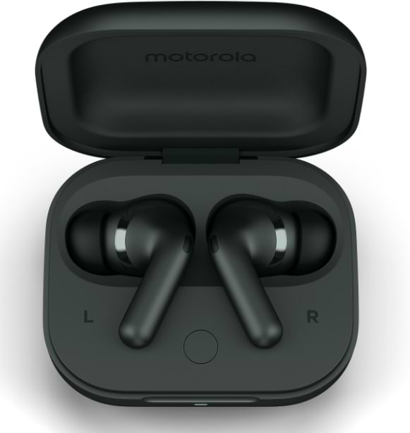 Фото - Навушники вкладиші бездротові TWS Motorola Moto Buds+ Forest Grey (PG38C05743)