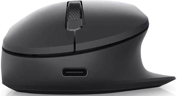 Фото - Мышь беспроводная Dell Premier Rechargeable Mouse MS900 (570-BBCB)