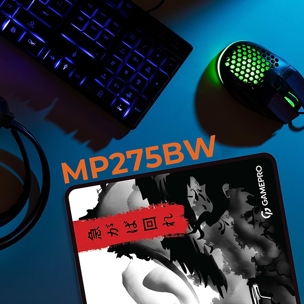 Фото - Коврик для мыши игровой GamePro MP275BW