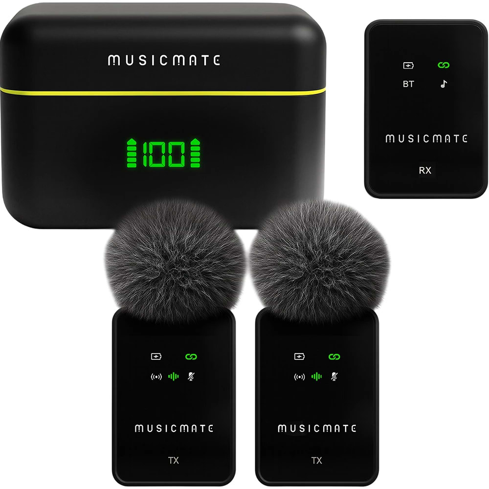 Микрофон вокальный беспроводной Musicmate MM-130 EchoStream