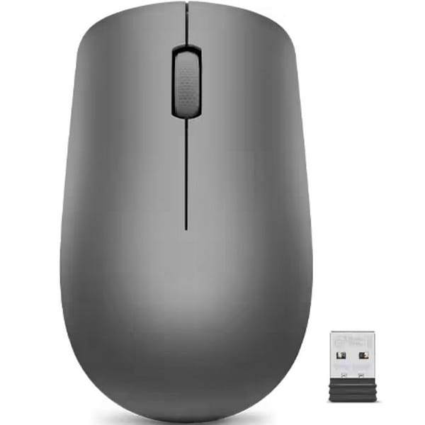 Фото - Мышь беспроводная Lenovo 530 Wireless Mouse (GY50Z49089) Graphite