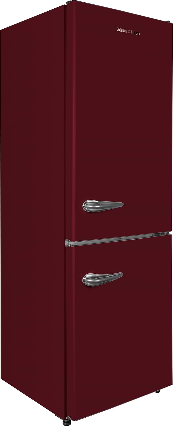 Фото - Холодильник Gunter & Hauer FN 369 R