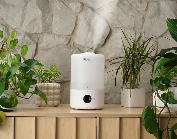 Фото - Зволожувач повітря Levoit Smart Humidifier Dual 200S (HEAPHULVSEU0035)