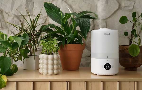 Фото - Зволожувач повітря Levoit Smart Humidifier Dual 200S (HEAPHULVSEU0035)