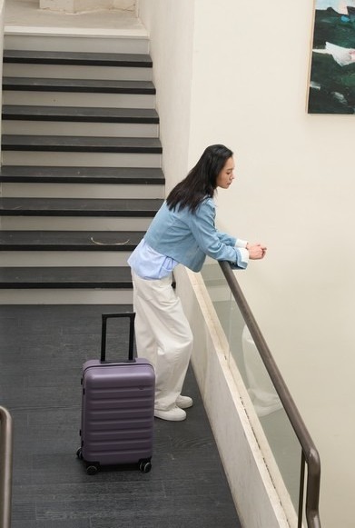 Фото - Валіза NINETYGO Rhine 2.0 24" Purple (6941413248112)