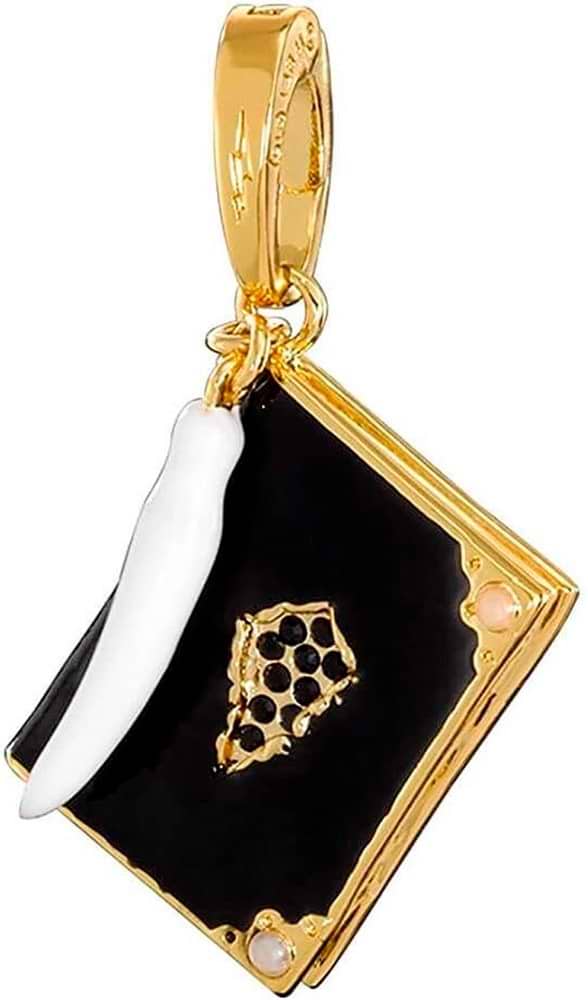 Фото - Підвіска Noble Collection HARRY POTTER Tom Riddle's Diary - Charm No.11 (NN1024)