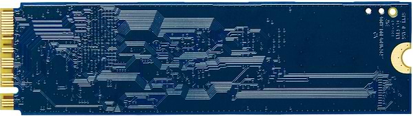 Фото - SSD-накопичувач внутрішній Kingston NV3 1TB M.2 2280 NVMe PCIe 4.0 x4 3D NAND (SNV3S/1000G)
