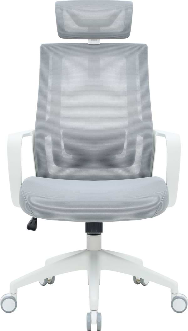 Фото - Кресло офисное OfficePro Harmony (OC310-W-LG-LG) White/Light Gray
