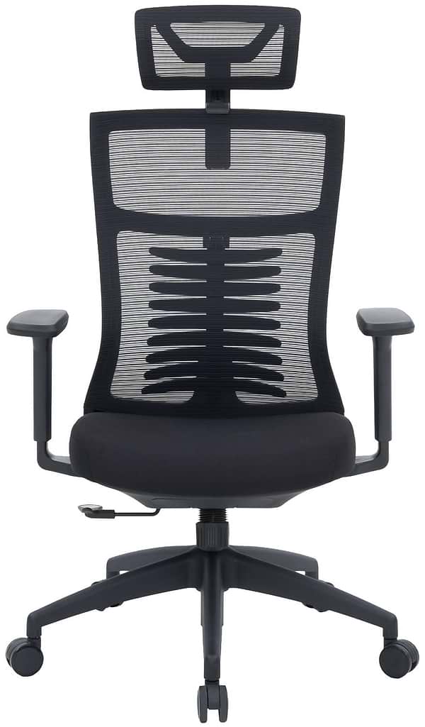Фото - Кресло офисное OfficePro Balance (OC550-B-B-B) Black