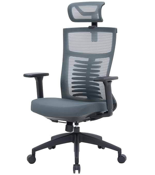 Фото - Кресло офисное OfficePro Balance (OC550-B-DG-DG) Black/Dark Gray