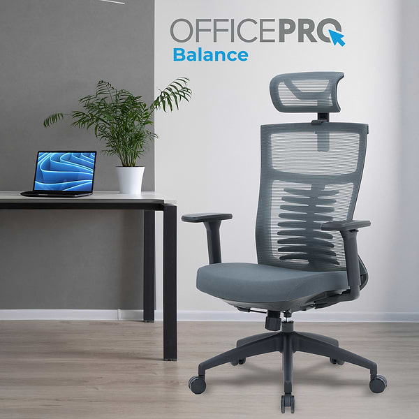 Фото - Кресло офисное OfficePro Balance (OC550-B-DG-DG) Black/Dark Gray