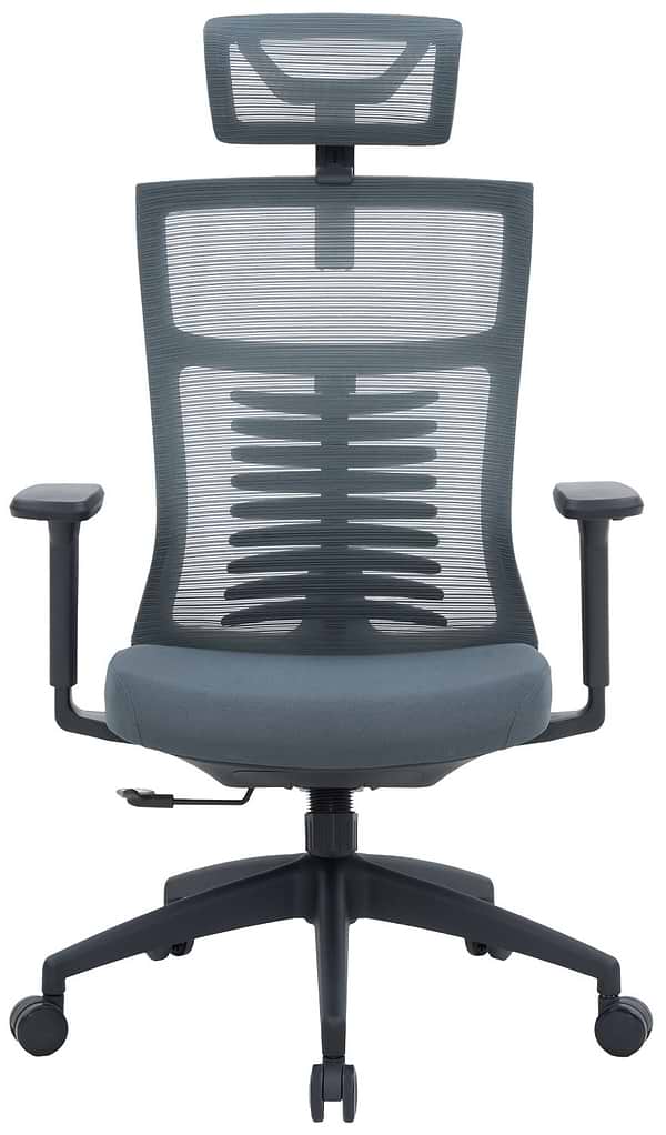 Фото - Кресло офисное OfficePro Balance (OC550-B-DG-DG) Black/Dark Gray