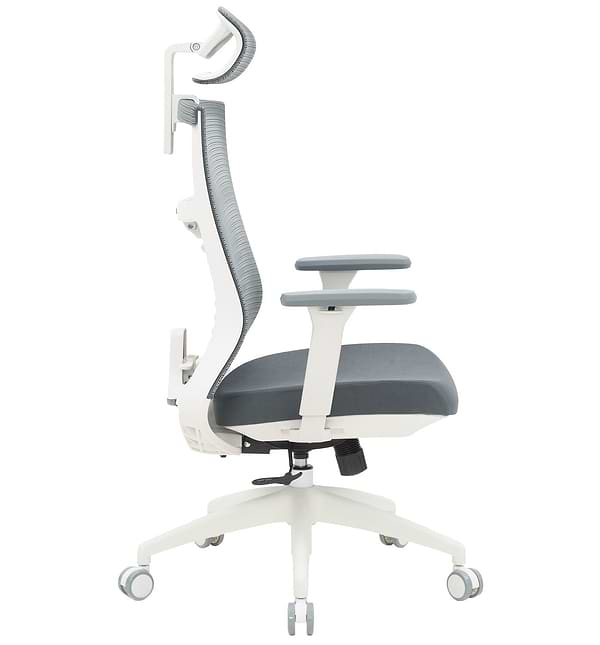 Фото - Кресло офисное OfficePro Balance (OC550-W-DG-DG) White/Dark Gray