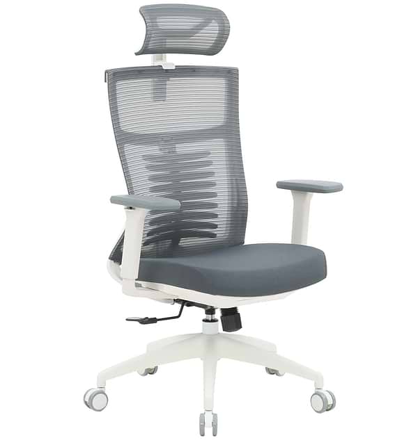 Фото - Кресло офисное OfficePro Balance (OC550-W-DG-DG) White/Dark Gray