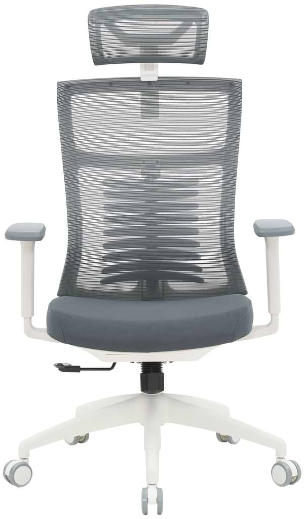 Фото - Кресло офисное OfficePro Balance (OC550-W-DG-DG) White/Dark Gray