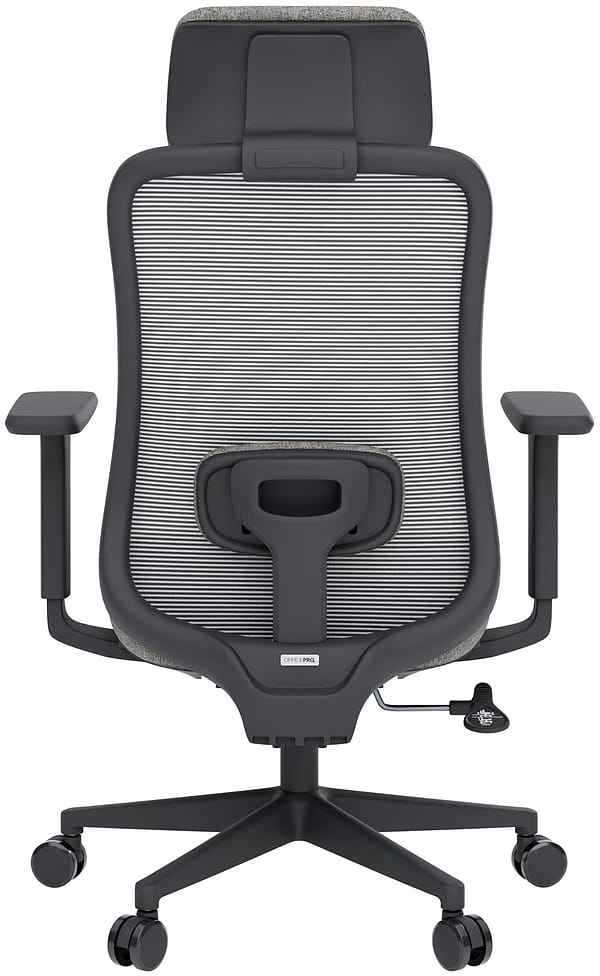 Фото - Крісло офісне OfficePro Wave (OC599-B-DG-DG) Black/Dark Gray