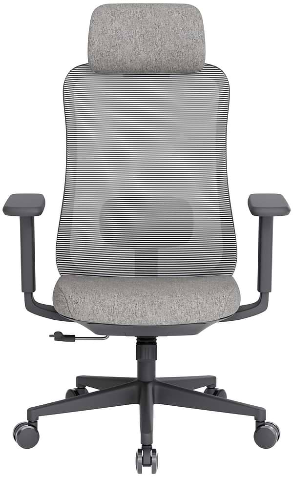 Фото - Крісло офісне OfficePro Wave (OC599-B-DG-DG) Black/Dark Gray