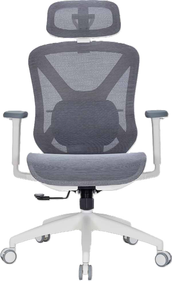 Фото - Крісло офісне OfficePro Atlas (OC630G-DG-DG) Gray/Dark Gray