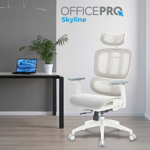 Фото - Кресло офисное OfficePro Skyline (OC680-W-LG-LG) White/Light Gray