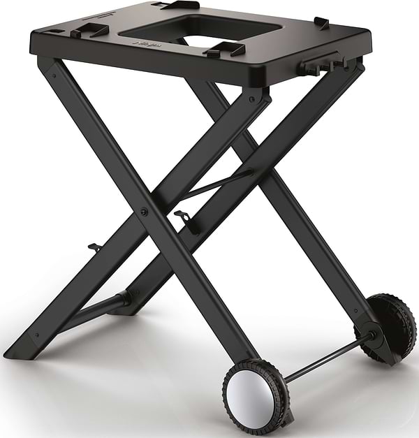 Фото - Гриль-барбекю электрический Ninja Woodfire OG701EU