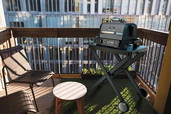 Фото - Гриль-барбекю электрический Ninja Woodfire OG701EU