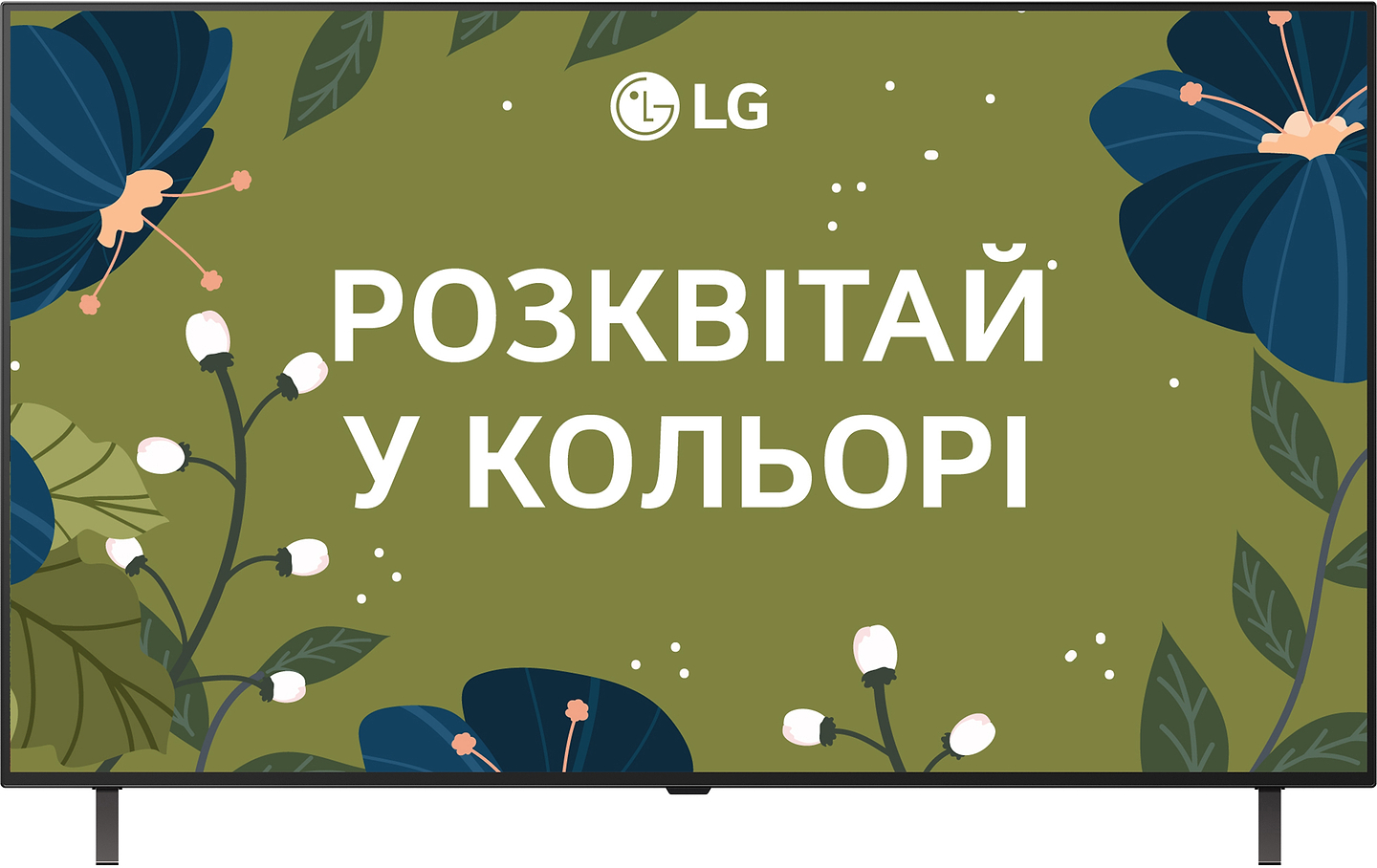 Телевизор LG OLED48B56LA