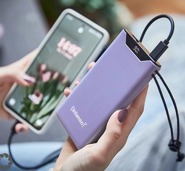 Фото - Батарея мобильная Intenso F10000 Purple (7332033)