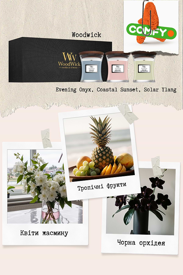 Фото - Набір свічок Woodwick mini Coastal Sunset, Evening Onyx, Solar Ylang (1727429E)