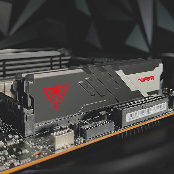 Фото - Память DDR Patriot Viper Venom 2x16GB/6000 DDR5 (PVV532G600C36K)