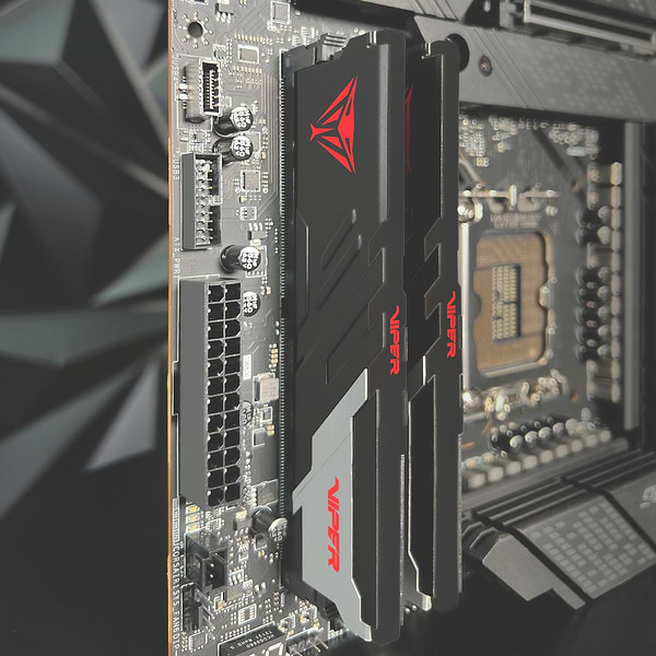 Фото - Память DDR Patriot Viper Venom 2x16GB/6000 DDR5 (PVV532G600C36K)