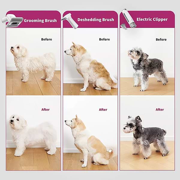 Фото - Машинка для стрижки животных PETKIT 5 in 1 Grooming Kit (LM4)