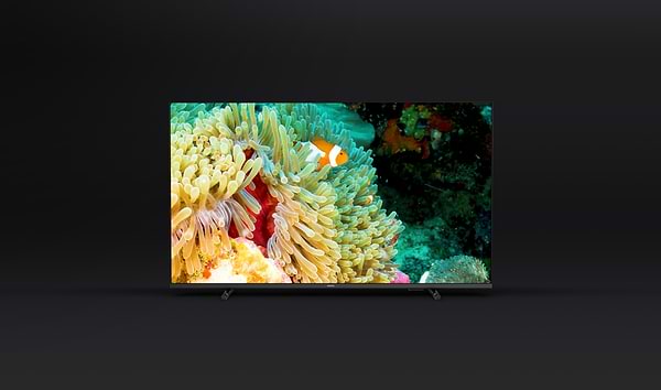Фото - Телевизор Philips 55PUS7607/12