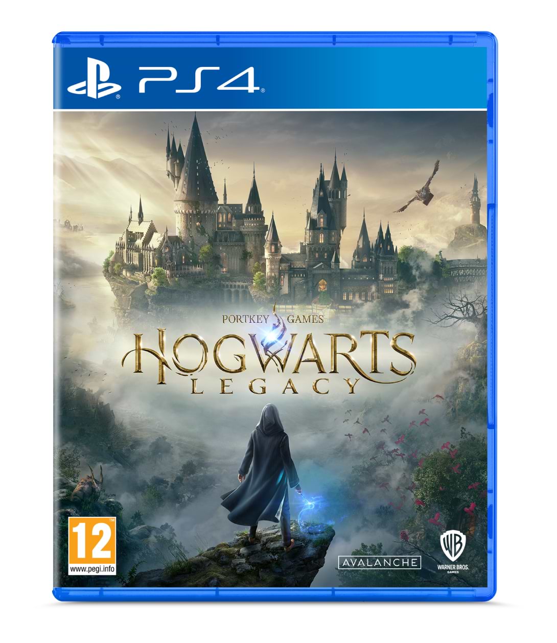 Ігровий диск PS4 Hogwarts Legacy [PS4, Blu-Ray диск] - Фото 1