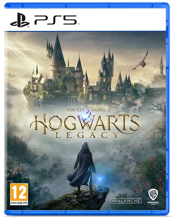Фото - Игровой диск PS5 Hogwarts Legacy [PS5, Blu-Ray диск]