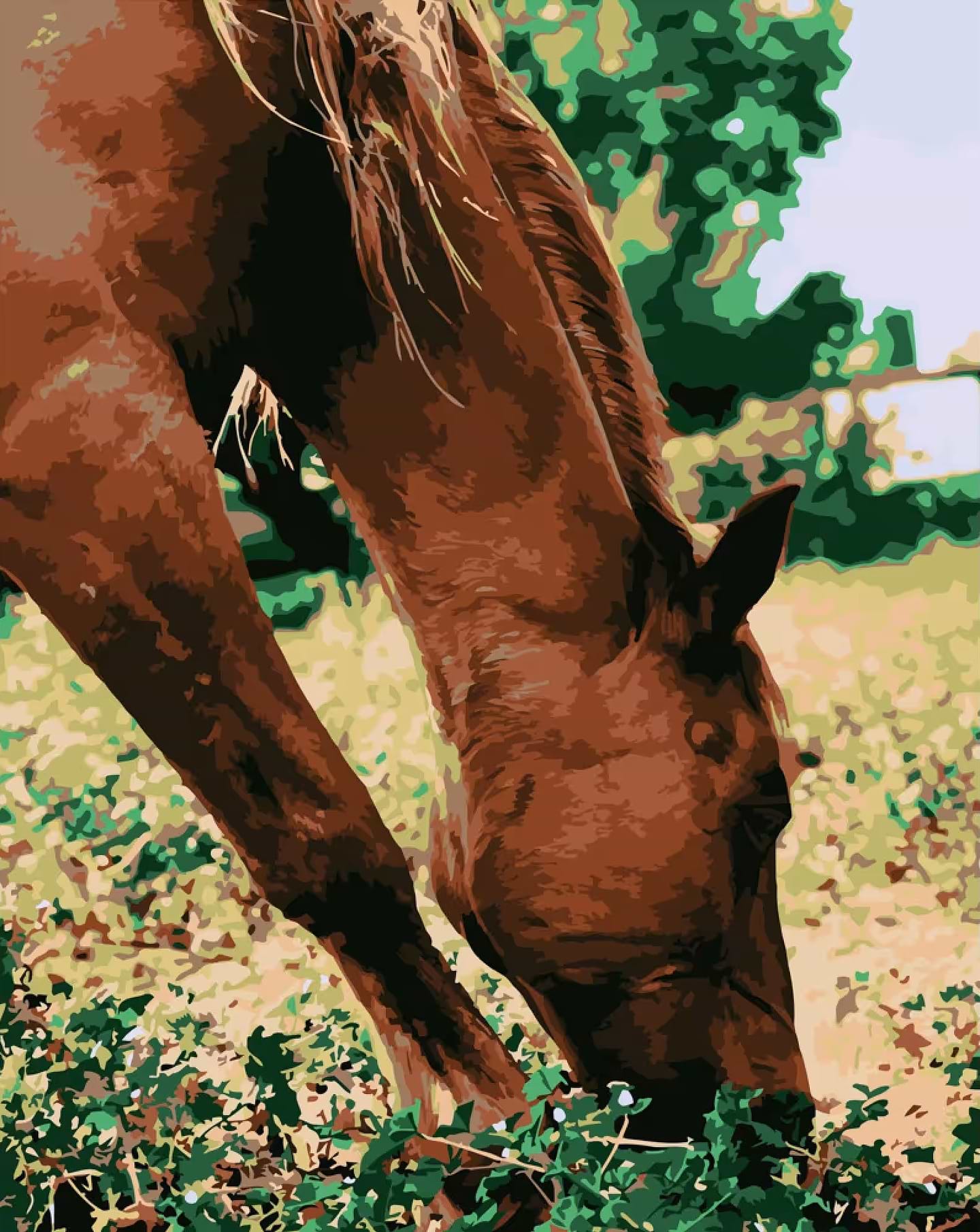 Картина за номерами Strateg Кінь у лузі 40х50 см (DY108)