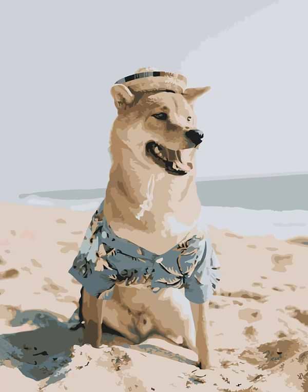 Фото - Картина по номерам Strateg Шиба-ину на пляже 40х50 см (DY110)