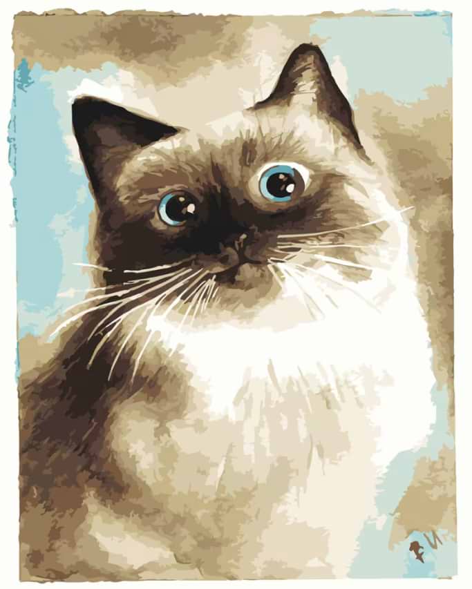 Картина за номерами Strateg Дивовижна кішка 40х50 см (DY180) - Фото 1