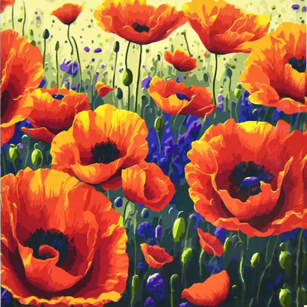 Картина за номерами Strateg Поле маків 50х50 см (АА021)
