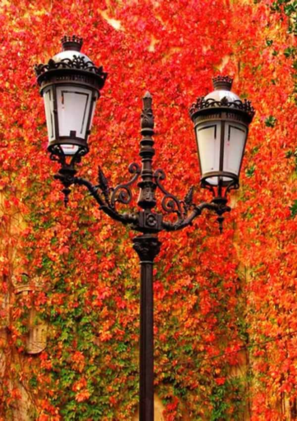 Фото - Алмазная живопись Strateg Осенние краски 30х40 см (JSDF72470)