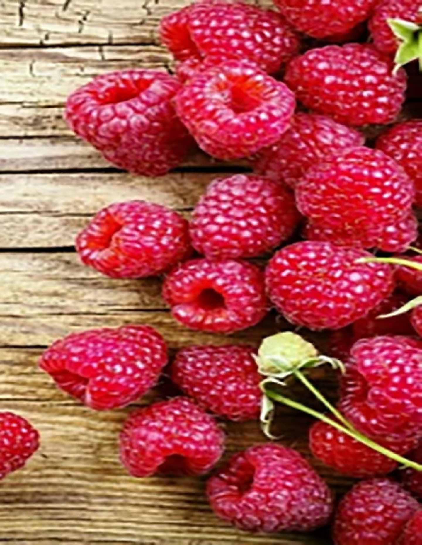 Алмазний живопис Strateg Соковита малина 40х50 см (JSFH85871)