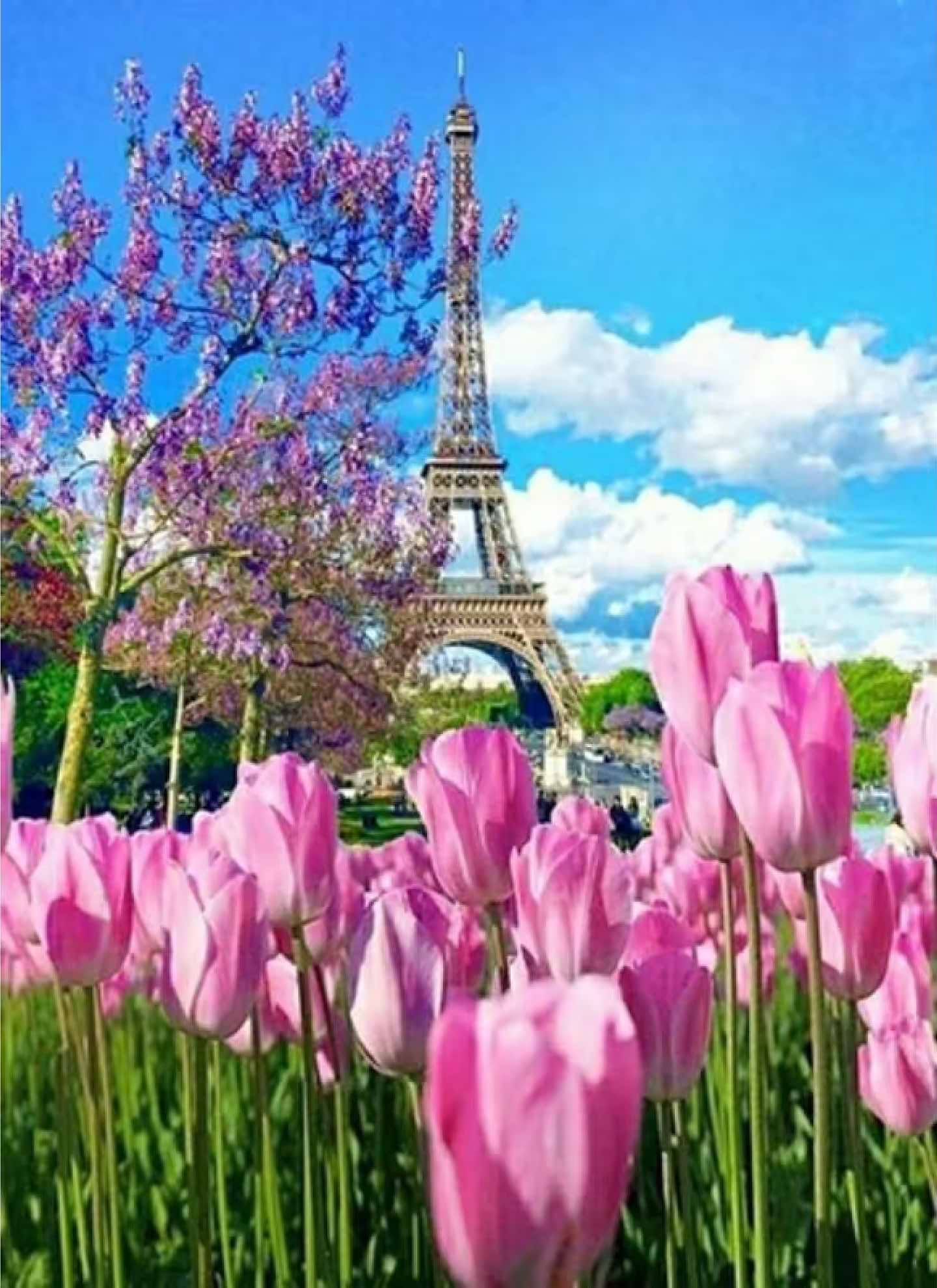 Алмазний живопис Strateg Ейфелева вежа навесні 50х65 см (SGK86074) - Фото 1