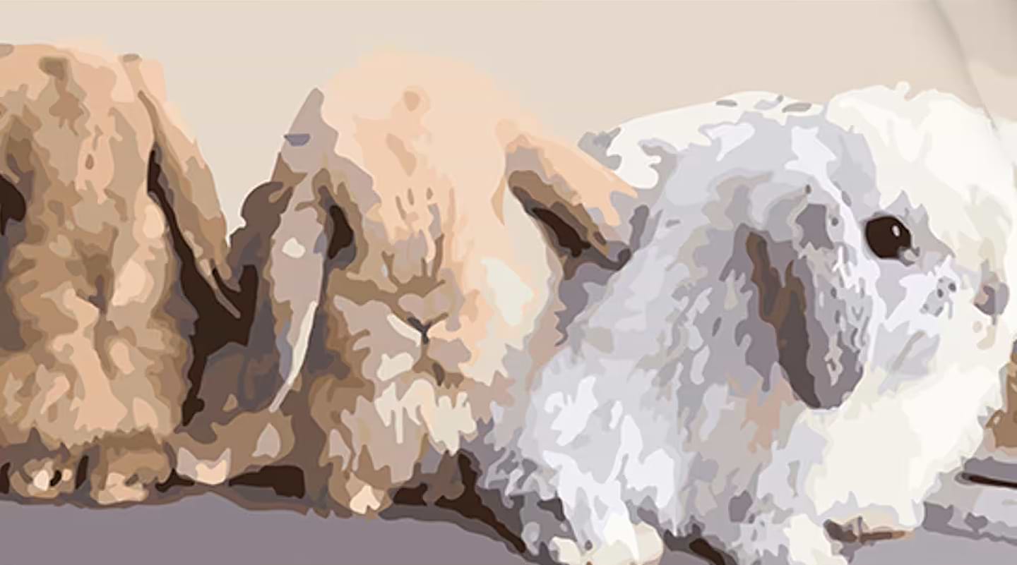 Картина за номерами Strateg Милі пухнастики 50х25 см (WW191)