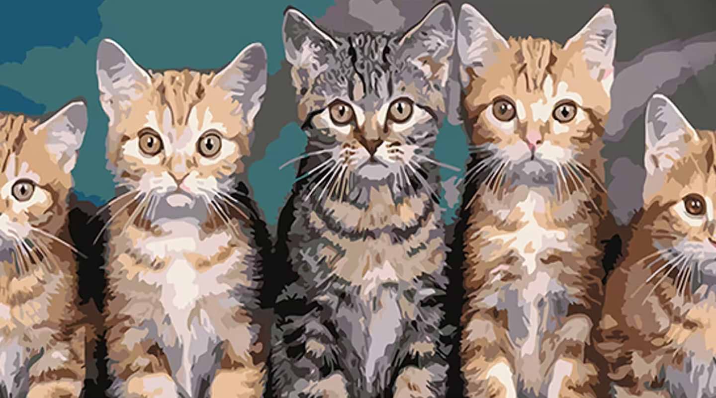 Картина за номерами Strateg Кошенята 50х25 см (WW199)