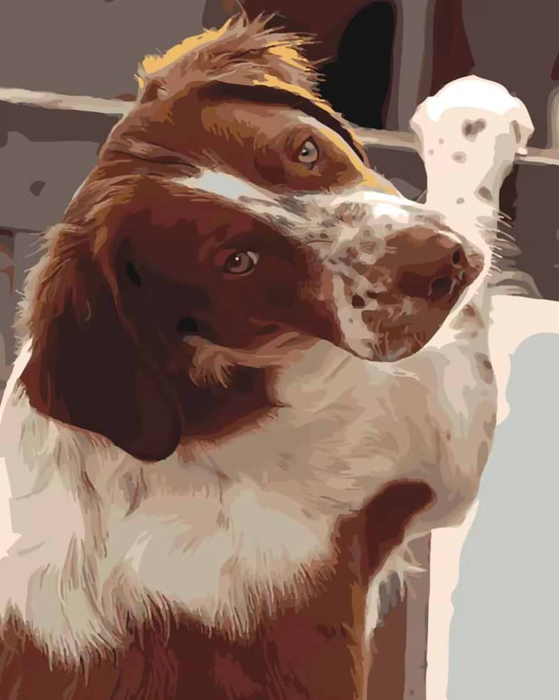 Картина по номерам Strateg Преданный взгляд 40х50 см (SY6444)