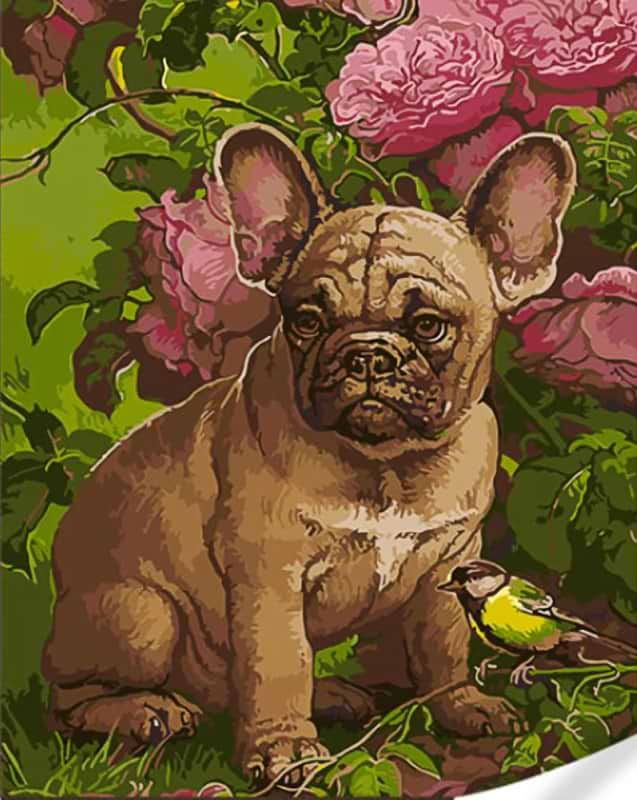 Картина за номерами Strateg Французький бульдог 40х50 см (GS1595) - Фото 1