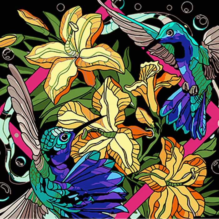 Картина за номерами Strateg Колібрі в яскравих тонах 40х40 см (AV4040-68)