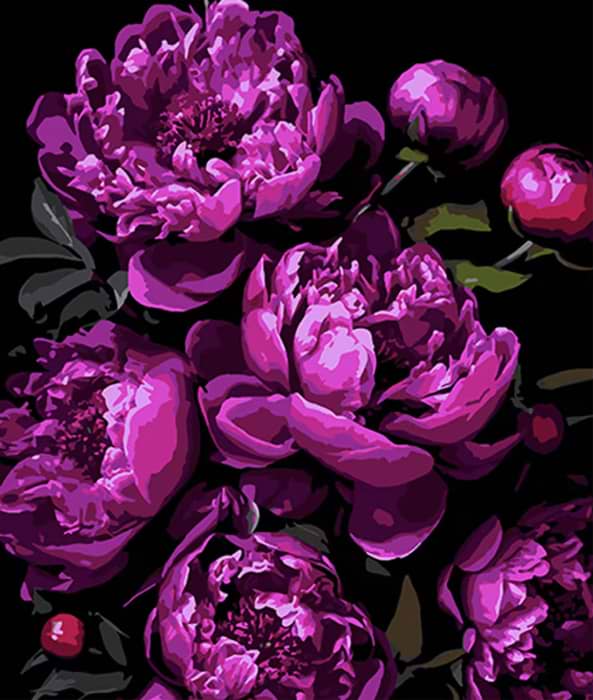 Картина за номерами Strateg Магія фіолетових піонів 40х50 см (AH1134) - Фото 1