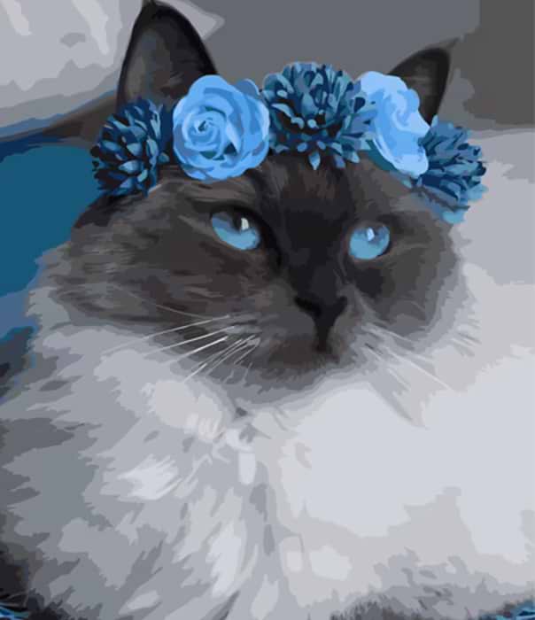 Картина по номерам Strateg Котик в голубом венчике 40х50 см (MZ002)