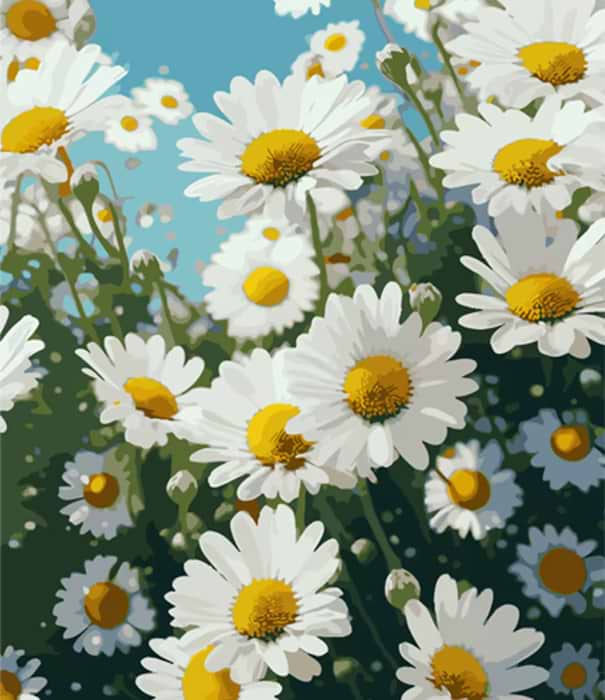 Картина по номерам Strateg Ромашки на поле под небом 40х50 см (MZ025)